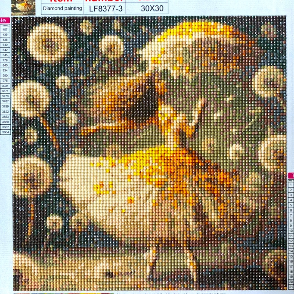 Ballerina Dancer w/Dandelions & Umbrella Diamond Dot Art Picture Painting